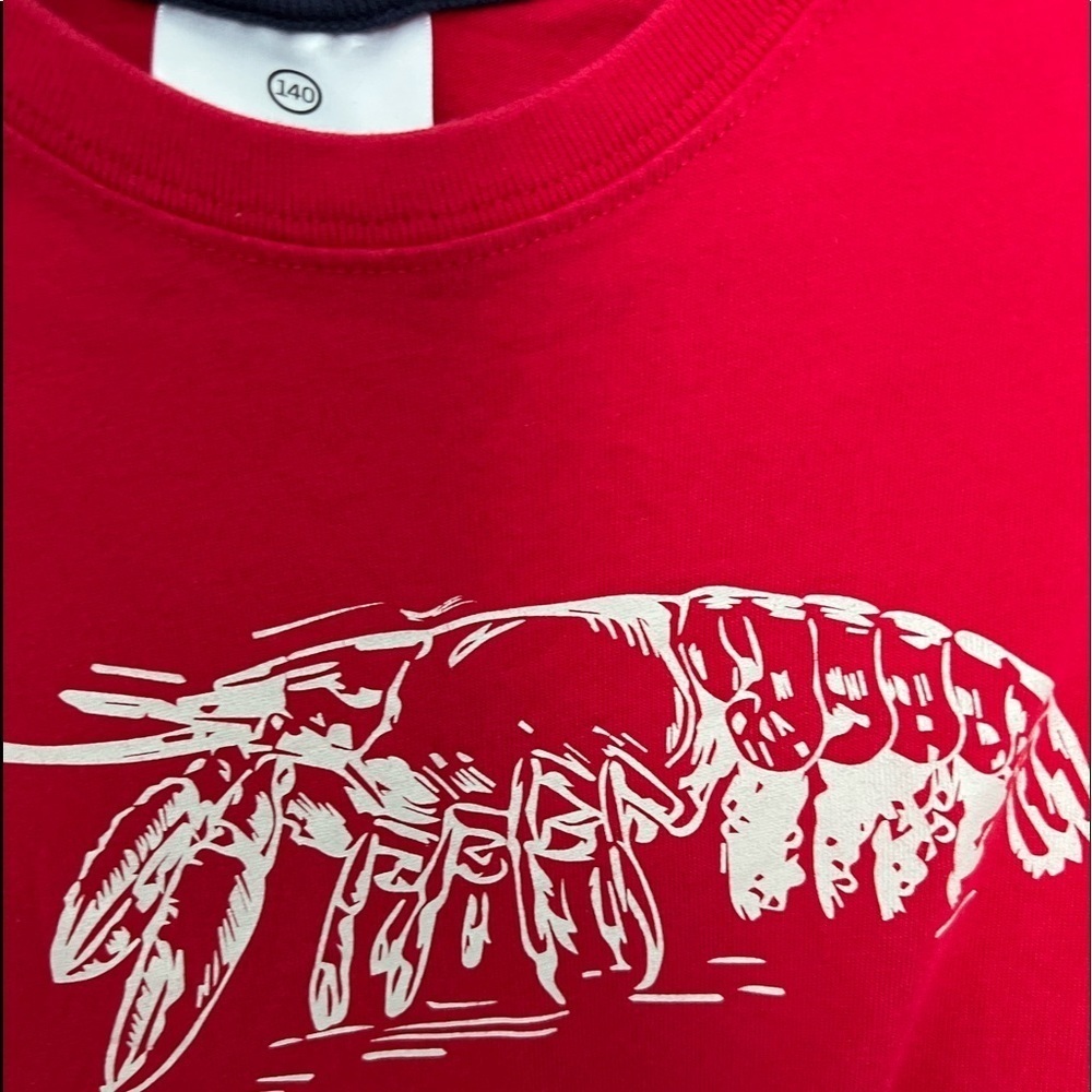 Hanna Andersson graphics red t-shirt, size 140 (10Y), new but no tags